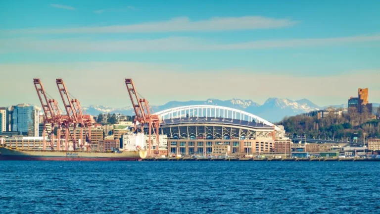 Seattlesportsonline Explained: Business Search Intent, Features, and Alternatives
